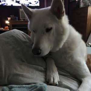 Meet your Posher, Zena